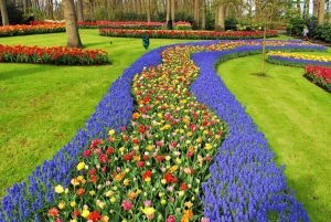 Dagtocht Keukenhof en bollenroute